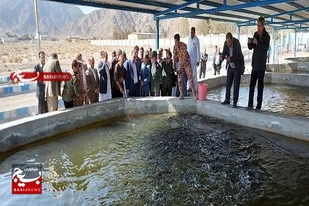 افتتاح مزرعه نیمه مدار بسته پرورش ماهیان سردآبی زاهدان