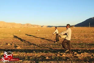 کشاورزان قبل از اقدام به کشت و زرع به فکر بیمه محصولات خود باشند