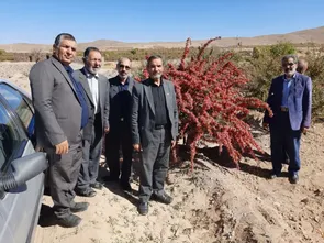 نظارت مسئولان ستاد توسعه و بازسازی عتبات عالیات خراسان جنوبی از روستاهای منطقه شاخنات