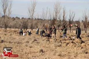 کاشت یک&zwnj;هزار اصله نهال در پارک جنگلی فدک اراک به همت بسیج