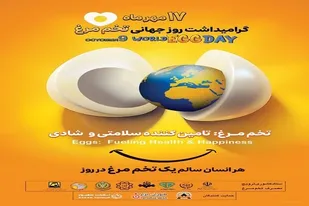 حدود 10 درصد از کل تخم مرغ کشور در آذربایجان شرقی  تولید می شود