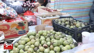 برگزاری دومین جشنواره گردو در بخش ثمرین شهرستان اردبیل