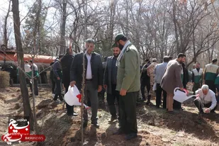 کاشت یک هزار و۱۹۰ نهال در پارک ملت زنجان+تصاویر