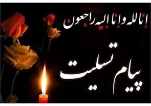 نهضت استادی بسیج اصفهان ضایعه دردناک درگذشت دانشمند بسیجی " علیرضا پارسا" را تسلیت گفت