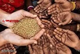 هشدار ۳ نهاد بین المللی درباره تحریم ها و اختلال در امنیت غذایی