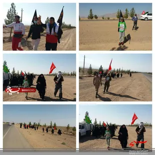 برگزاری پیاده روی جاماندگان اربعین در بیارجمند+ تصاویر