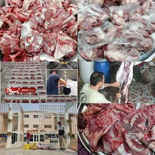 ذبح 76 رأس گوسفند و یک رأس گاو در کنگان به مناسبت عید قربان