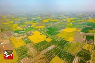 &nbsp;خرده&zwnj;مالکی چالش کشاورزی مبتنی بر قنات در خراسان رضوی است