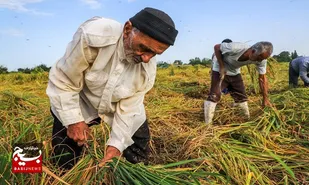 گام&zwnj;های اساسی بسیج برای رفاه حال مردم و بهبود وضع اقتصاد کشور