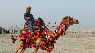 مسابقات شترسواری، اسب سواری و دو و میدانی
در جاسک برگزار شد