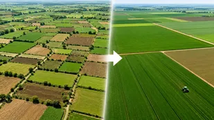یکپارچه&zwnj;سازی اراضی کشاورزی؛ راهکاری برای مدیریت بهینه آب و افزایش تولید است