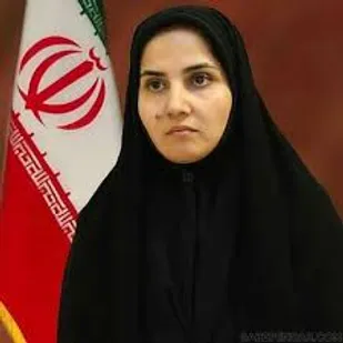 معاون حقوقی رییس&zwnj;جمهور: مزاحمت برای هواپیمای مسافربری زیر پا گذاشتن حقوق بین&zwnj;الملل است