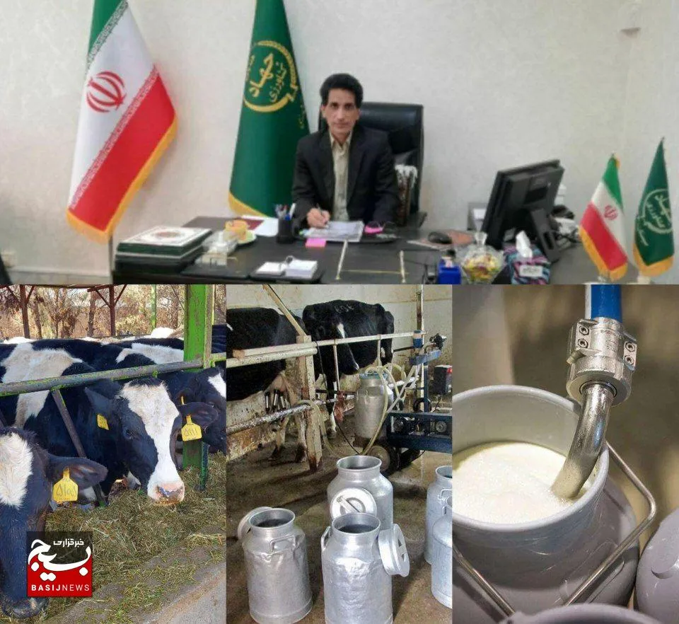 ظرفیت تولید شیر در دامداری های زاهدان به ۲۰۰ تن در روز ارتقا یافت