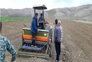 آغاز کشت کلزا در شهرستان ورزقان