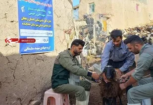برگزاری اردوی جهادی دامپزشکی به مناسبت سالروز آزادسازی خرمشهر در شهرستان خدابنده
