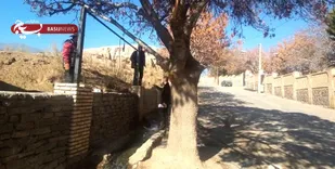 محوطه تاریخی &laquo;تپه کولی&raquo; شاهرود حصارکشی می&zwnj;شود