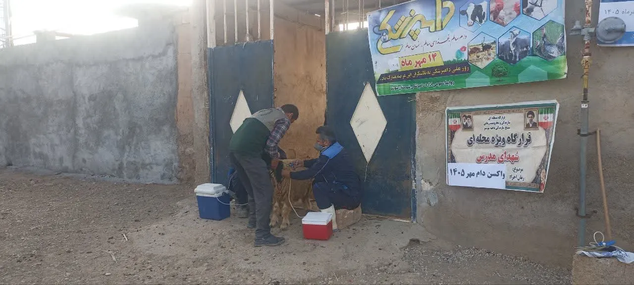 دامپروری