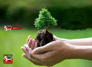 کاشت ۵۰۰ اصله نهال توسط گروه جهادی بی&zwnj;بی عصمت استان کرمان