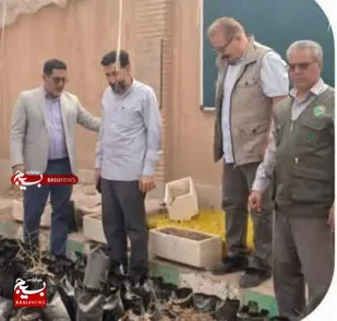 احداث ۱۰۵ نهالستان دانش&zwnj;آموزی در مدارس استان سمنان