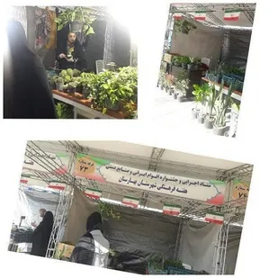 برپایی غرفه گل و گیاه زینتی در شهرستان بهارستان