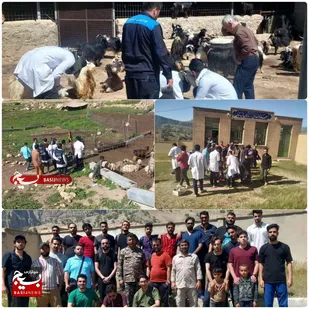 اردوی جهادی دامپزشکی در مناطق عشایری اندیکا