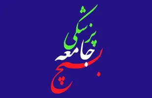 نظارتی بر اجرای قوانین عفاف و حجاب وجود ندارد