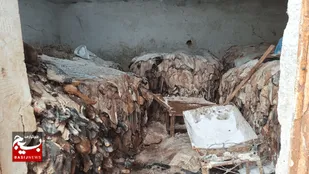 کشف انبار گوشت&zwnj; فاسد در اردبیل