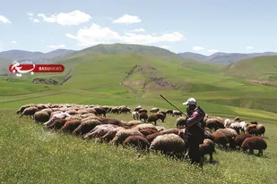 ۵۰۰ میلیون تومان وام صندوق قرض الحسنه مائده کرمانشاه در یک سال
