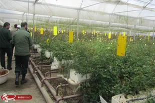 بازدید مسئول دفتر نمایندگی ولی فقیه و فرمانده سپاه ناحیه خوانسار از طرح های اقتصاد مقاومتی/ تصاویر