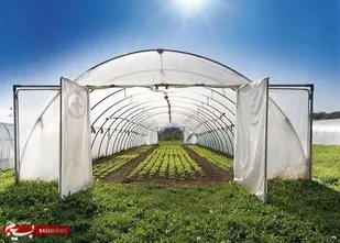 بهره برداری از اولین گلخانه سبزی و صیفی در شهرستان ایذه
