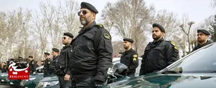 ۲۸۶ سارق حرفه ای در دام نیروی انتظامی خوزستان