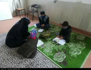 تصاویری از پویش لبخند رضایت در استان کرمان