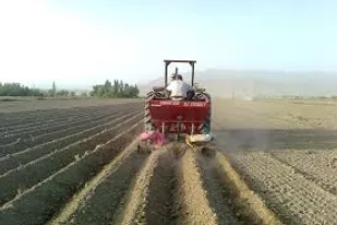 سمپاشی اراضی کشاورزی در روستای لاسجرد