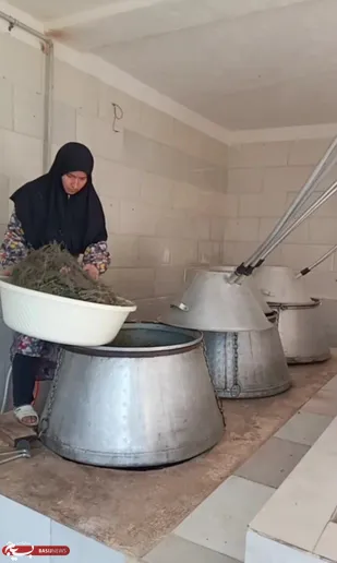 عطر خودباوری در کالپوش؛ بانویی که با گیاهان دارویی، چرخ اقتصاد روستا را به حرکت درآورد
