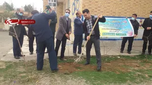 کاشت نهال به نام شهدا توسط ورزشکاران بسیجی