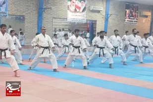 هفتمین دوره سمینار کاراته  در گناوه