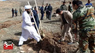کاشت درخت در سطح شهرستان اردل