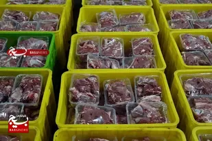 ۱۳۵۰۰ بسته گوشت قربانی در بین نیازمندان شهرستان توزیع شد