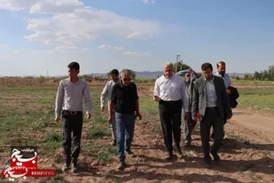 بازدید مدیر عامل بنیاد تعاون بسیج از مزرعه نمونه شهرستان بردسیر