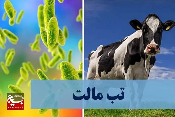 تب مالت بیماری هزار چهره‌ در گرما