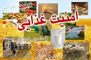 اختصاص ۵۰ همت به بخش امنیت غذایی کشور