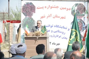 تولید 1800 تن پسته از دو هزار و 238 هکتار باغات آذربایجان شرقی