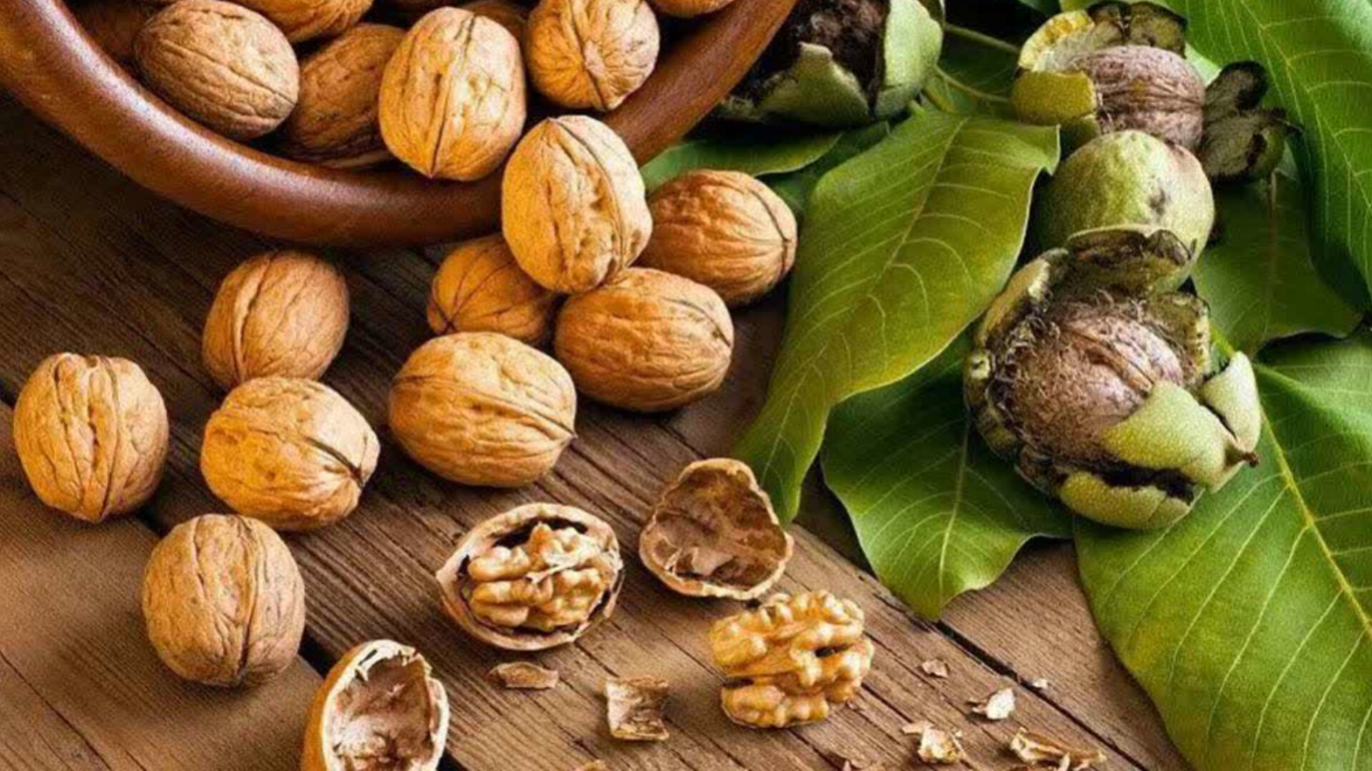 برداشت ۳۵۰ تن گردو از باغات کوهسرخ