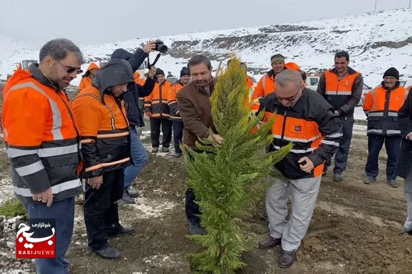 غرس ۱۸۰۰ اصله نهال توسط راهداران در محورهای استان همدان