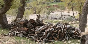 کارگرانی که چند ماه است حقوق نگرفته اند