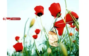 گرامی&zwnj;داشت شهدای عملیات محرم و والفجر4 در بروجن