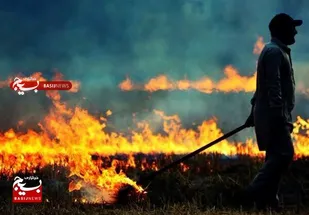 برخورد قانونی با سوزانندگان کاه و کلش مزارع کشاورزی