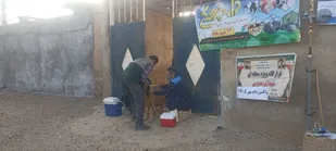 مشارک بسیج سازندگی شوشتر درتامین امنیت وسلامت دامپروری کشور