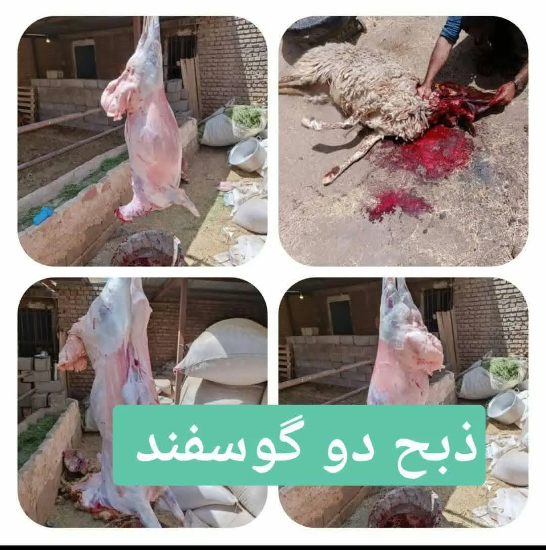 توسط بسیجیان پایگاه زهرای مرضیه (سلام الله علیها) زرند