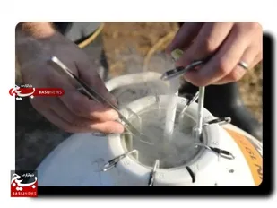 افزایش تولید شیر و کیفیت گوشت در خوزستان با فعالیت مرکز تولیدمواد ژنی دام